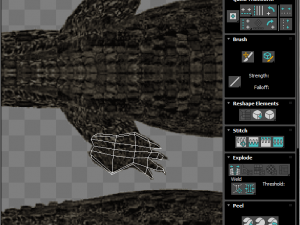 Crocodile 3D Model