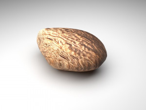 Nutmeg 3D 모델