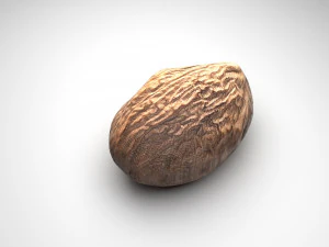 Nutmeg 3D Model