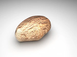 Nutmeg 3D Model