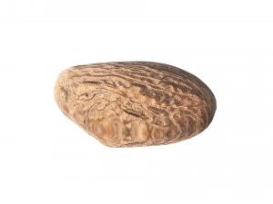 Nutmeg 3D Model