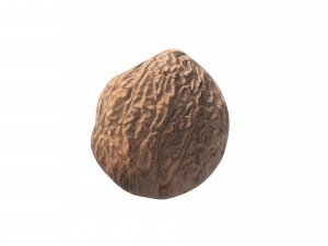 Nutmeg Modello 3D