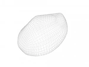 Nutmeg 3D Model