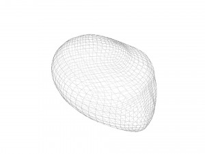 Nutmeg Modello 3D