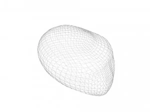 Nutmeg 3D Model