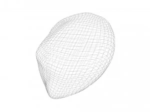 Nutmeg 3D Model