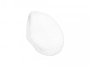 Nutmeg 3D Model