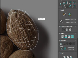 Nutmeg 3D Model