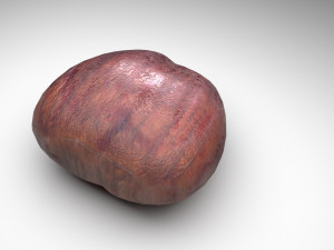 Chestnut 3D Модель