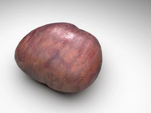 Chestnut 3D Model