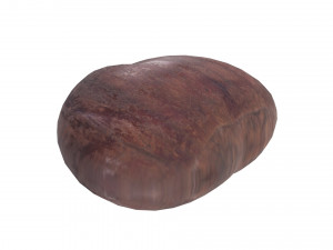 Chestnut 3D Модель