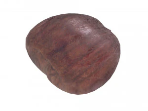 Chestnut 3D Model
