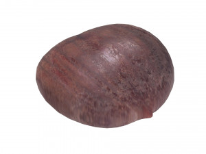 Chestnut 3D Модель