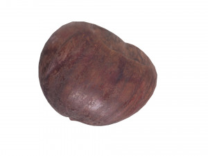 Chestnut 3D Модель