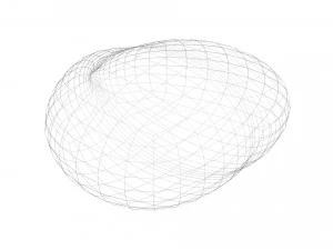 Chestnut 3D Model