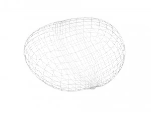 Chestnut 3D Model