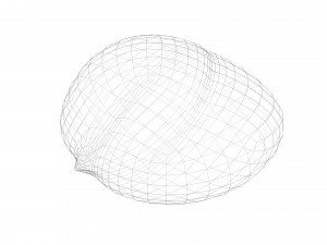Chestnut 3D Модель