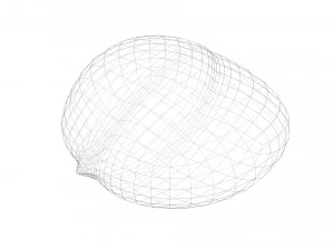 Chestnut 3D Model