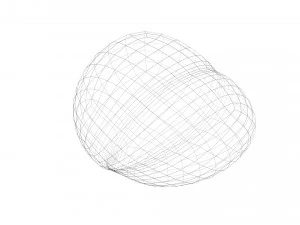 Chestnut 3D Model