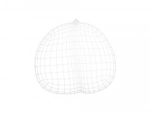Chestnut 3D Model