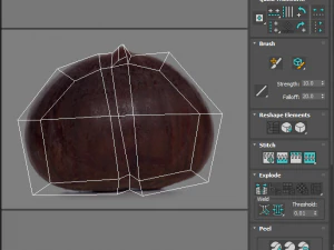 Chestnut 3D Model