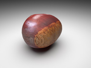 Chestnut Seed Modèle 3D