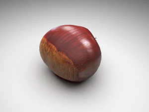 Chestnut Seed 3D Model