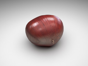 Chestnut Seed 3D Модель