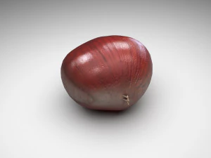 Chestnut Seed 3D Model