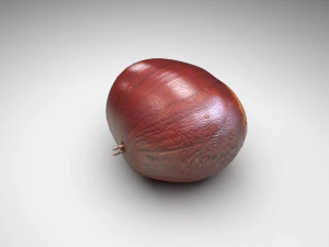 Chestnut Seed 3D Model