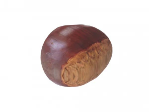 Chestnut Seed 3D Model