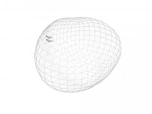 Chestnut Seed 3D Model