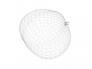 Chestnut Seed 3D Модель