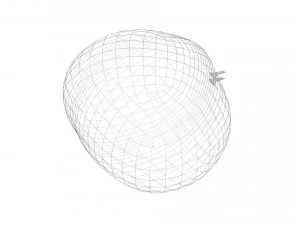 Chestnut Seed 3D Model