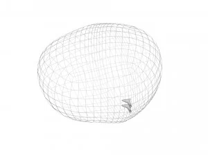 Chestnut Seed 3D Model