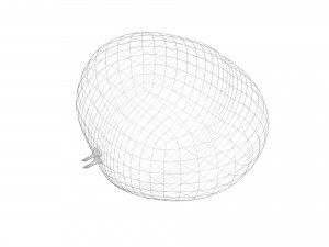 Chestnut Seed 3D Модель
