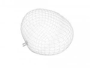 Chestnut Seed 3D Model