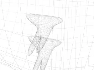 Chestnut Seed 3D Model