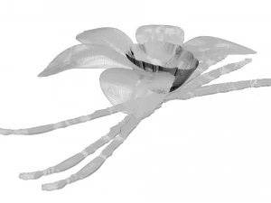 バニラ 3Dモデル