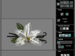 バニラ 3Dモデル