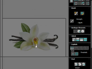 バニラ 3Dモデル