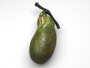 Gallbladder 3D 模型
