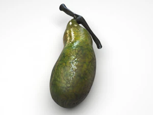 Gallbladder 3D Model