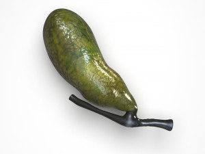 Gallbladder 3D 模型