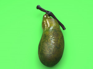 Gallbladder 3D 模型