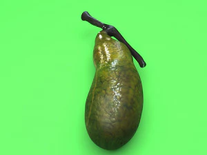 胆嚢 3Dモデル