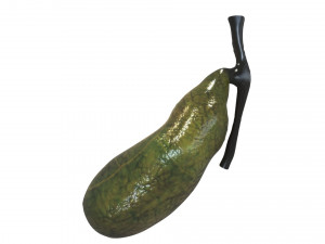 Gallbladder 3D 模型