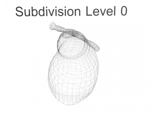 Gallbladder 3D 模型