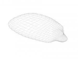 Corn Kernel Model 3D