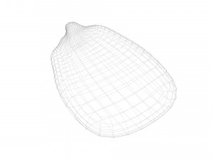 Corn Kernel Model 3D